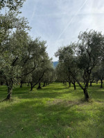 /album/galleria-di-foto/whatsapp-image-2025-10-12-at-15-17-18-jpeg1/